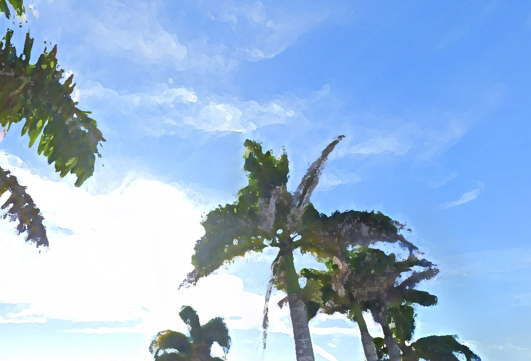 Frank Estates Community Information | Home in the Frank Estates Community in Seminole, Florida